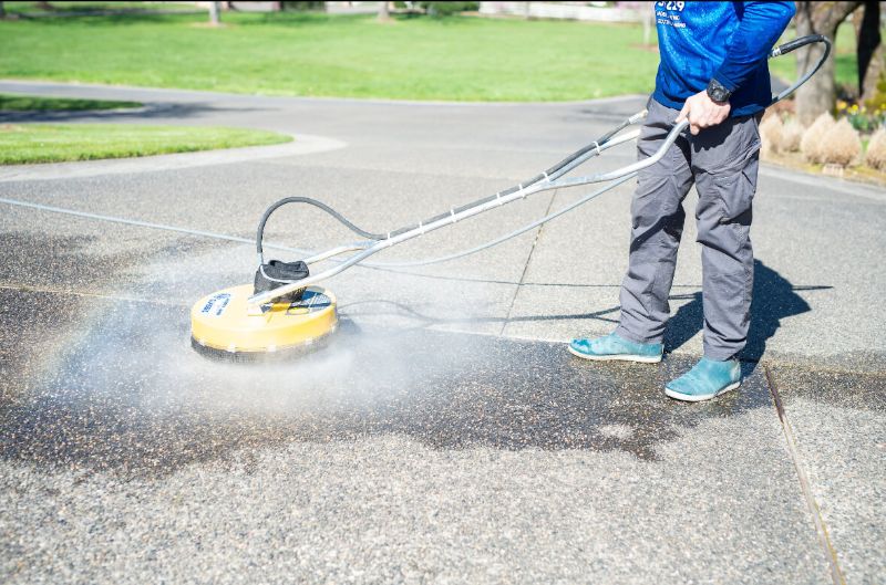 Common Mistakes in Moss Removal